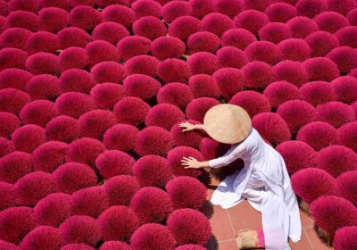 Vietnam Cultural Discovery