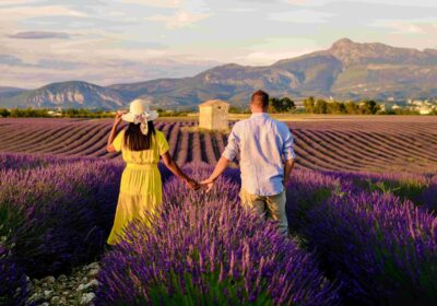 Paris & Provence Tour