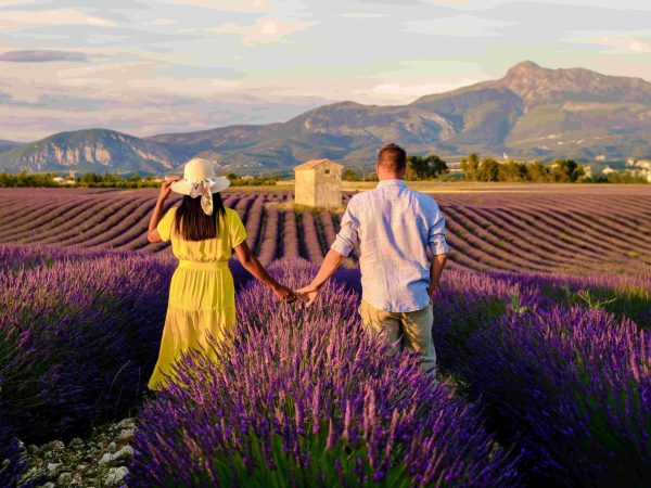 Paris & Provence Tour