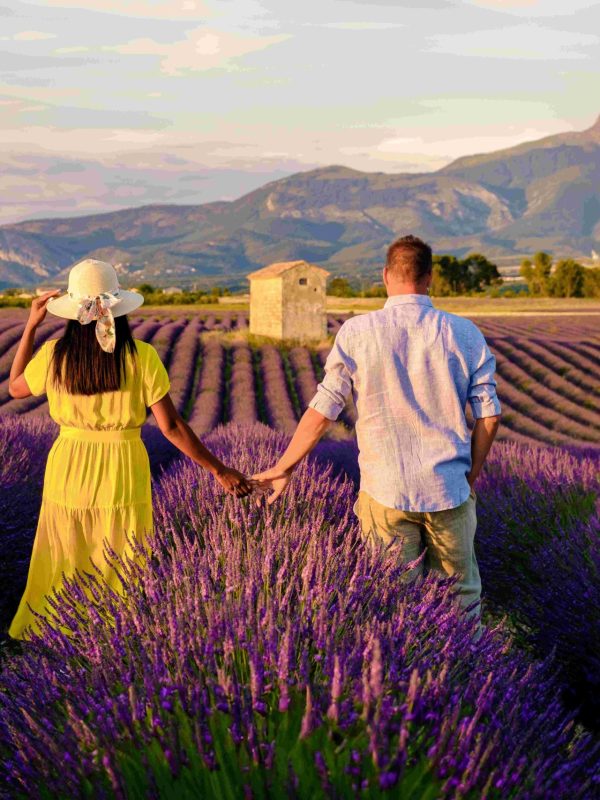 Paris & Provence Tour